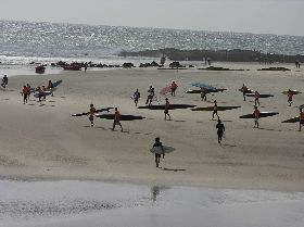 Stand Up Paddle - 