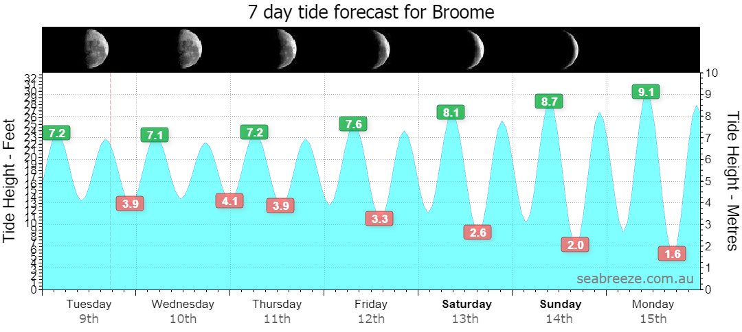 7 DAY TIDE FORECAST