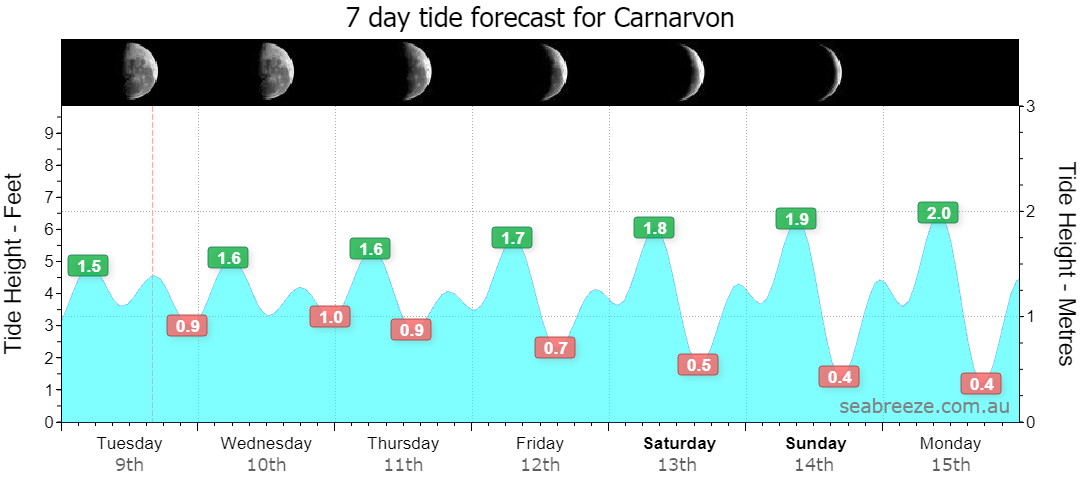 7 DAY TIDE FORECAST