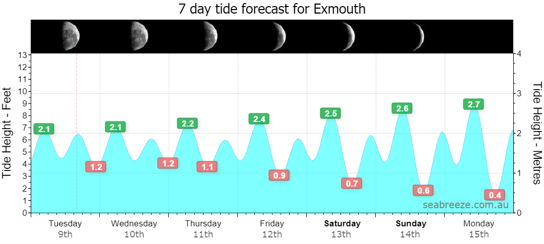 7 DAY TIDE FORECAST