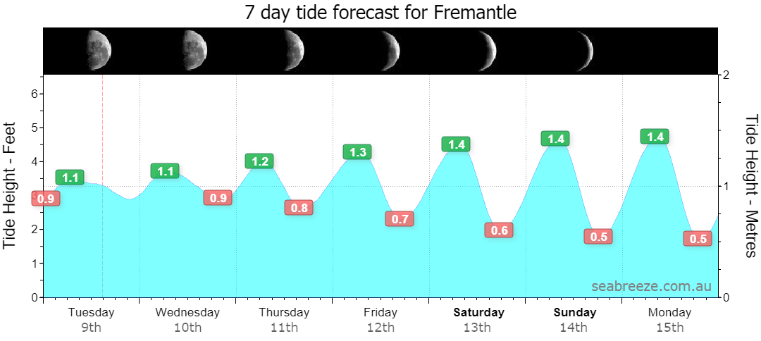 7 DAY TIDE FORECAST