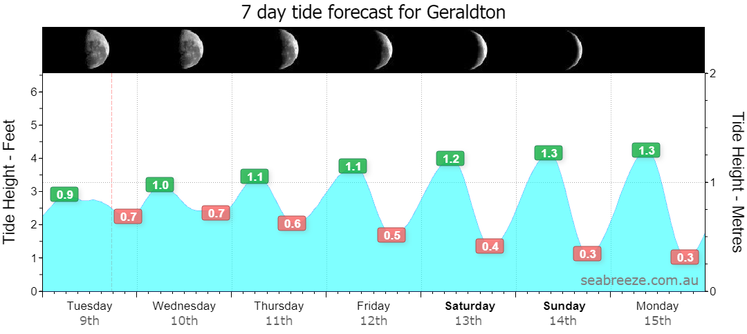 7 DAY TIDE FORECAST