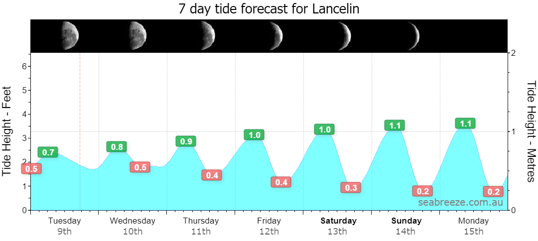 7 DAY TIDE FORECAST