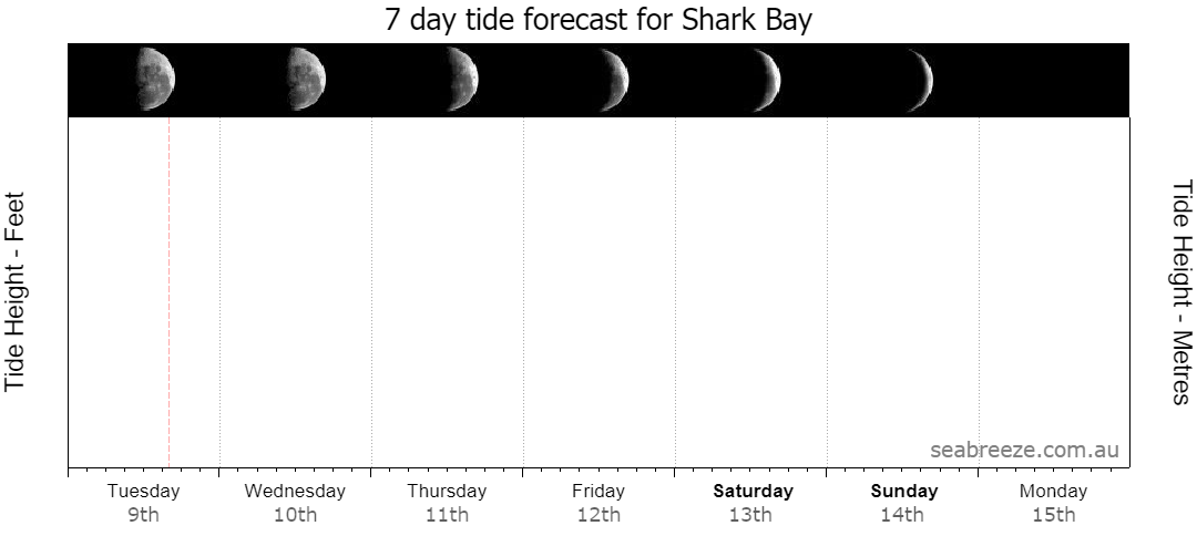 7 DAY TIDE FORECAST