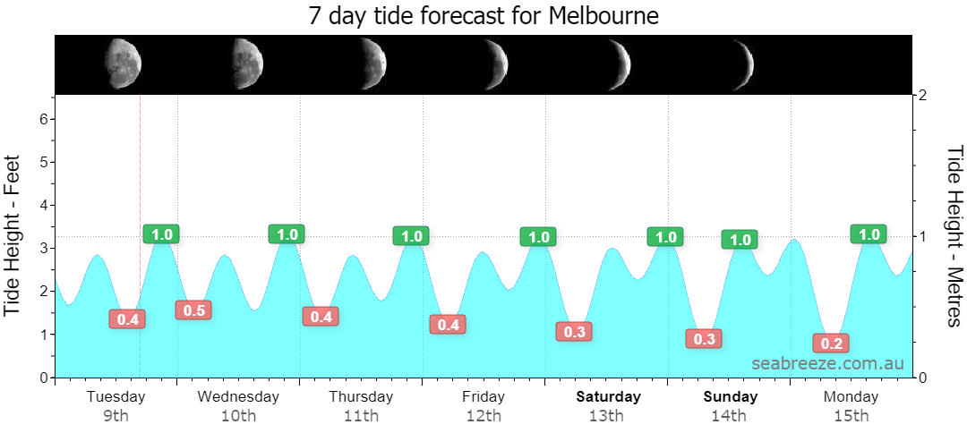7 DAY TIDE FORECAST