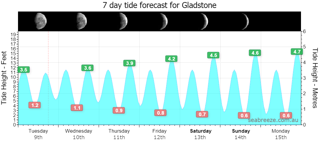 7 DAY TIDE FORECAST