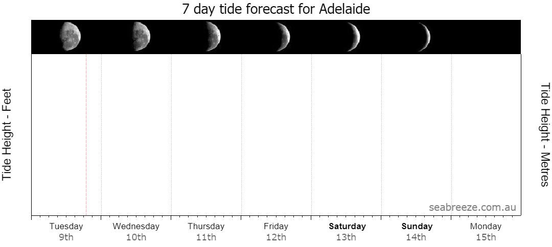 7 DAY TIDE FORECAST