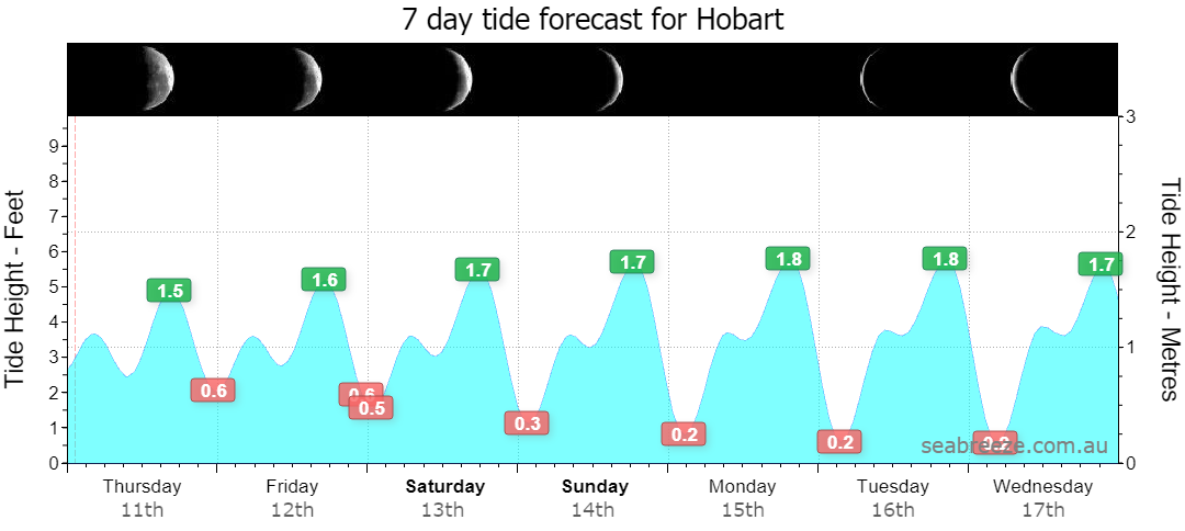 7 DAY TIDE FORECAST