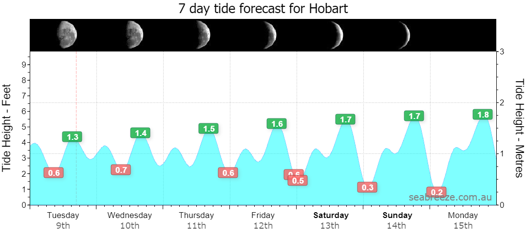 7 DAY TIDE FORECAST