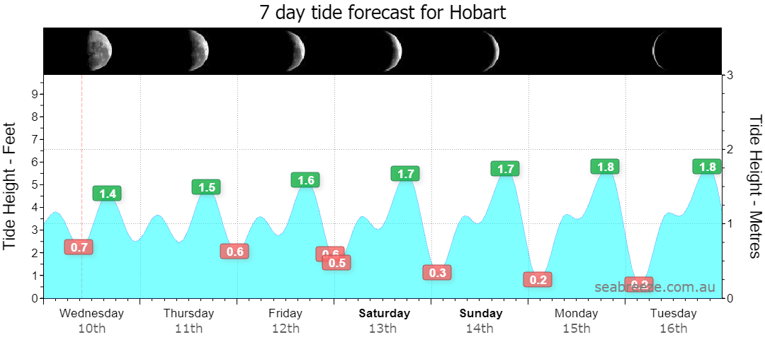 7 DAY TIDE FORECAST