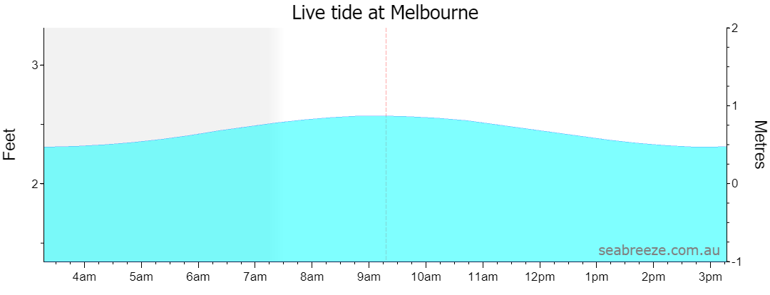 Live tide graph