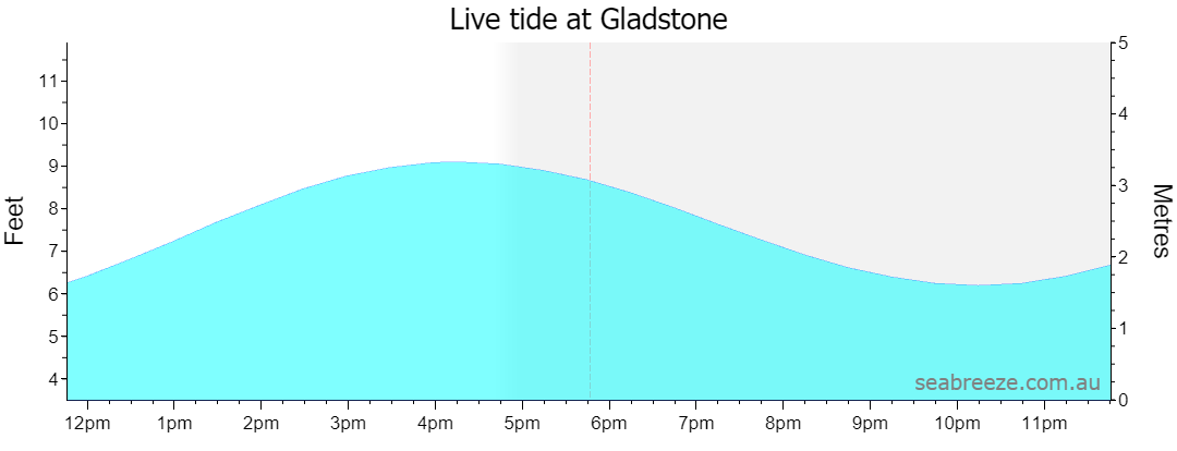 Live tide graph
